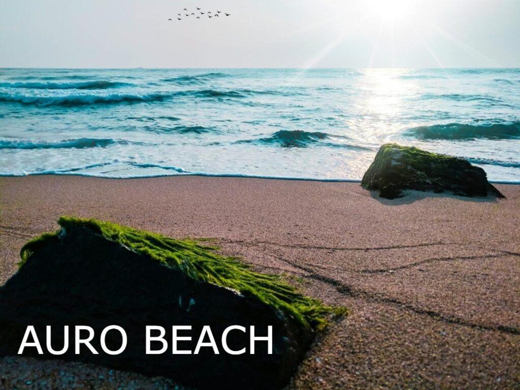 Pv Cottages Serenity Beach Pondicherry Eksteriør bilde